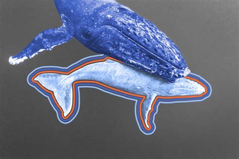 Gained: merelyawhale .